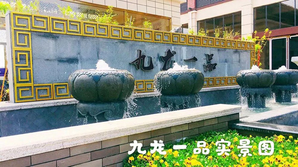 九龙一品：安仁江畔的诗意生活，即买即住享江景