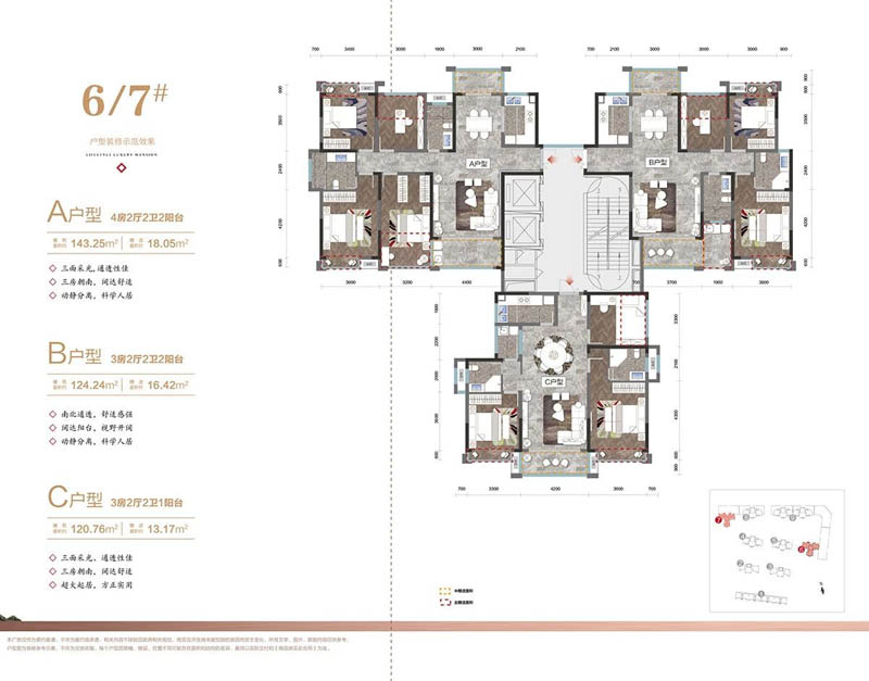 安仁县天心佳园7栋B户型