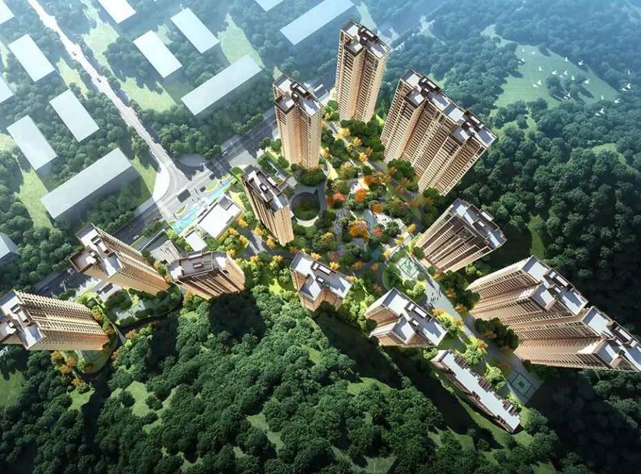 桃江县竹海春风实景图